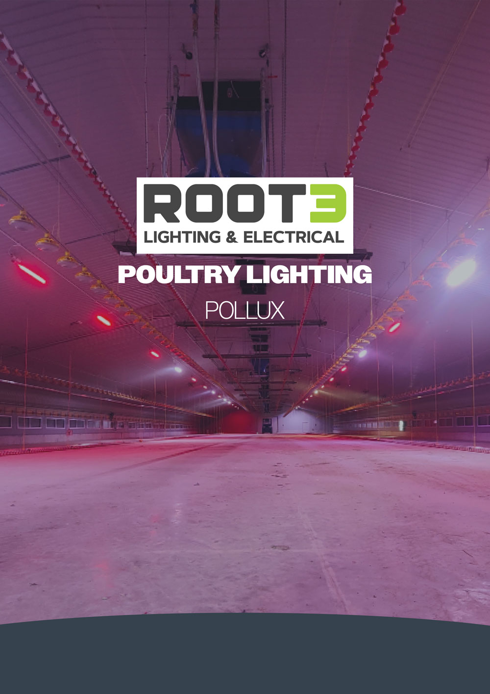 poultry-lighting-installation